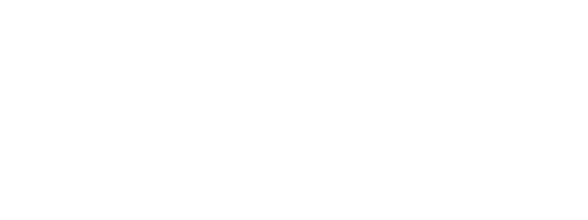 IDEAS a SAS Company Logo